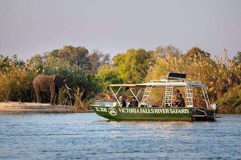Zambezi River Safari & Wildlife