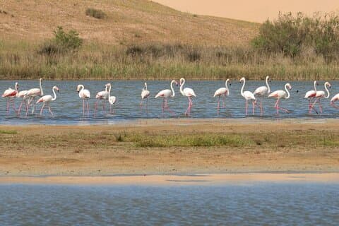Private Tour zum Nationalpark Souss Massa