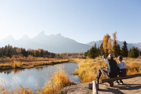 From Jackson: Full-day Grand Teton Wildlife and Scenery Tour with Lunch