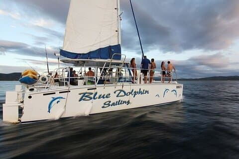 Blue Dolphin - Private Mimosa und Bloody Mary Brunch - Tamarindo