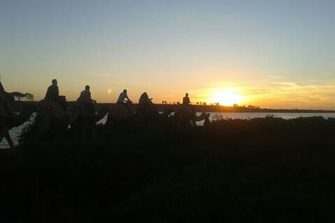 2-hour camel ride on the Agadir River
