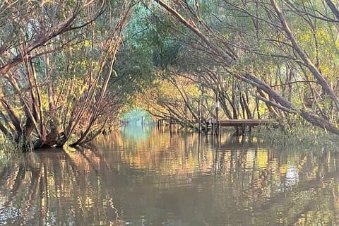 Excursión Personalizada Delta de Tigre almuerzo y bebida incluido