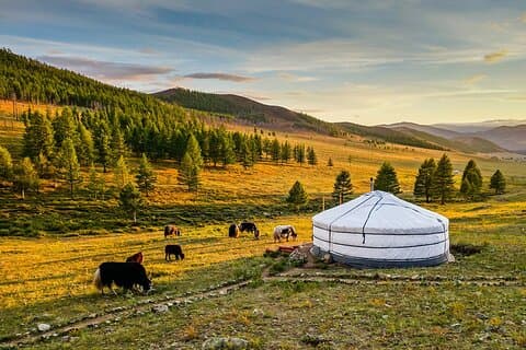 Privat 8 dagers Mongolia tur med Nomadic Gobi & Nature