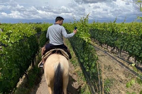 Domaine Bousquet Winery Tour med ridning och lunch