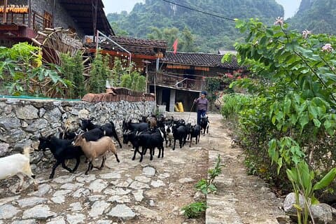 Trekking Ban Gioc Waterfall to Hidden Village on Unique Route