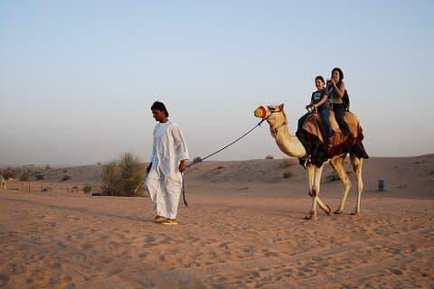 Camel Trekking in Open Red Dunes Desert