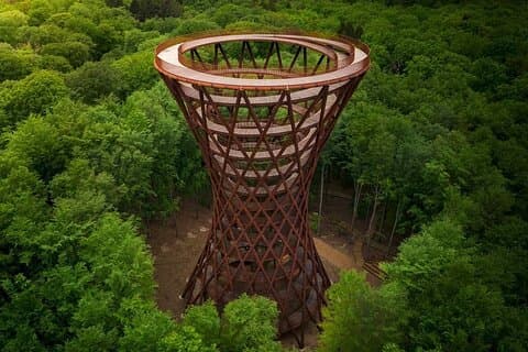 Mønsklint, Forest Tower and Forgotten Giants -Private Tour