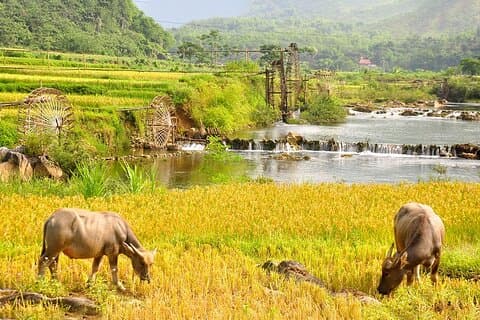 2-daagse Pu Luong ongebruikelijke trekking, het beste voor bergliefhebbers