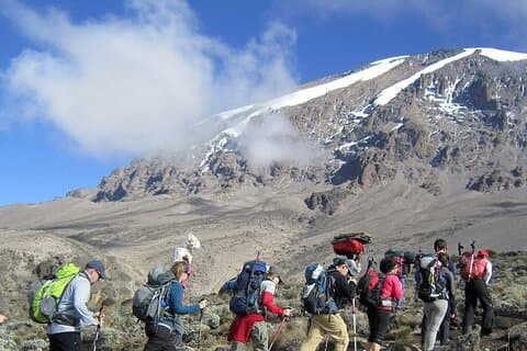 8-dages Kilimanjaro-bestigning - Lemosho-ruten