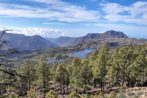 Experiencia de senderismo en norte de Gran Canaria