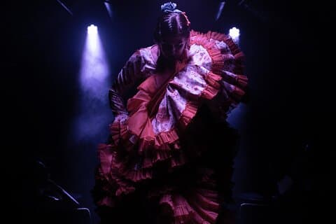 Intim Flamenco Show og Spansk Drink i Madrid på La Carmela
