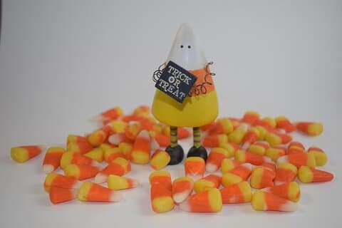 Tales of Salem Candyland Tour