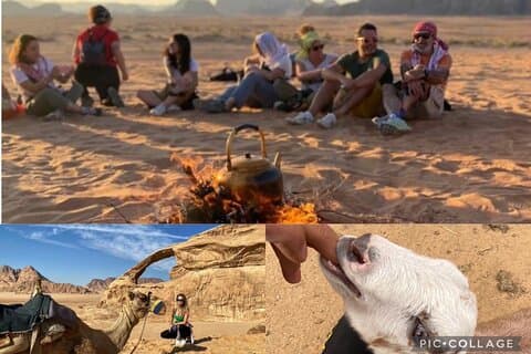 Tour di un'intera giornata nel deserto e nella fattoria del Wadi Rum