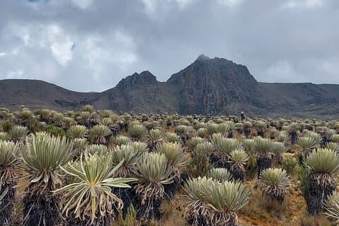 Vandring til den største paramo på jorden: Sumapaz