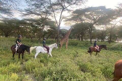 Excursão semi-luxuosa privada de 6 dias a Nairóbi-Amboseli-Maasai Mara