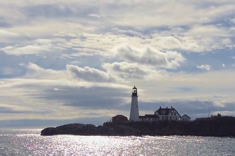 Harbor Lights and Sights Cruise