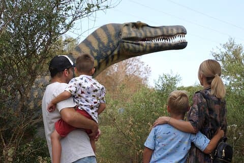 Excursion d'une demi-journée au pays des dinosaures à Majorque