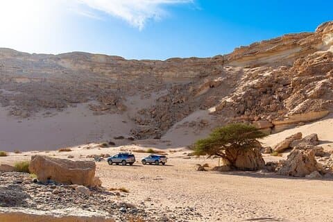 Luksus Desert Safari Tour, morgen og eftermiddag fra Hurghada