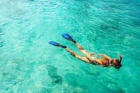 Snorkel Fort Lauderdale Jean Cousteaus-rif en snorkelpad