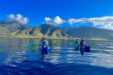 Turtle Town Coastal Kayak & Snorkel : Tortugas garantizadas