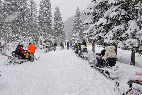 Bucharest: Snowmobile or ATV Quad Bike Tour Carpathian Mountains