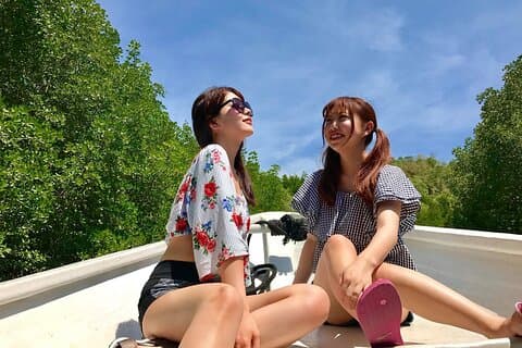 Langkawi Tour B - Land Tour & Tanjung Rhu Mangrove Tour