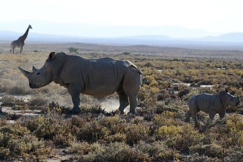 D'Arusha: Safari de 5 jours dans les vallées et les hauts plateaux Ngorongoro