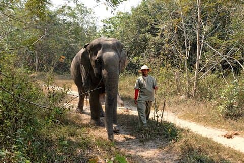 Bosque de elefantes de Kulen y lago Tonlesap