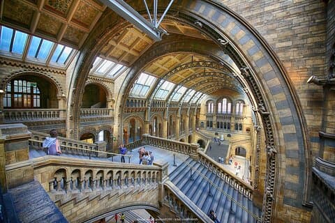 Museu de História Natural de Londres: excursão privada de meio dia