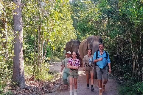 Kulen Elephant Forest e Tonle Sap Lake em tour privado