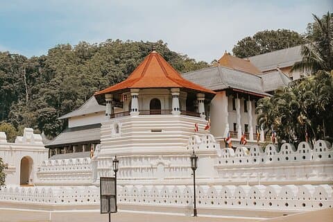 Det bedste af Sri Lanka 8 dage All Inclusive Tour