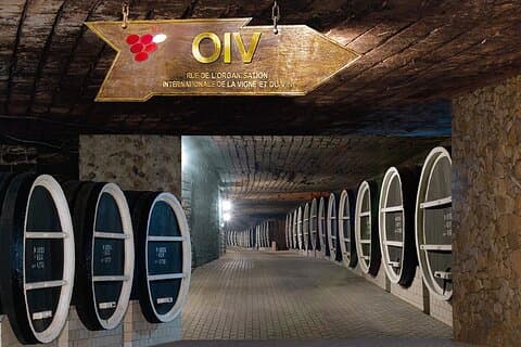 Visit the Largest Winery in the World and Manuc Bei Mansion