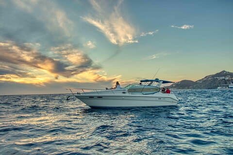 Avistamiento Privado de Ballenas en Yate de Lujo en Cabo San Lucas