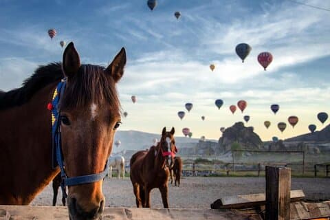 Cappadocia Ridupplevelse Soluppgång Solnedgång dagtid