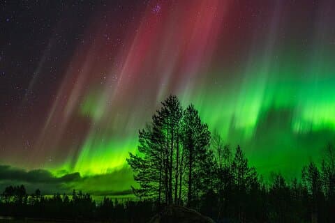 Die ultimative garantierte Polarlichtjagd