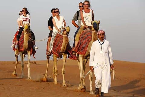 Safari matinal no deserto com passeio de camelo