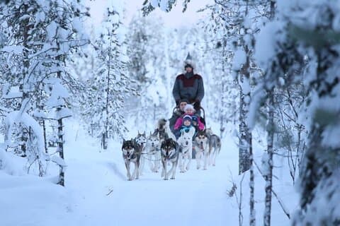 10 km selvkjørende husky slede eventyr i Rovaniemi