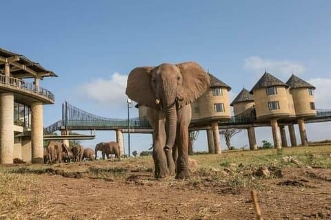 4 Days Best of Kenya Safaris