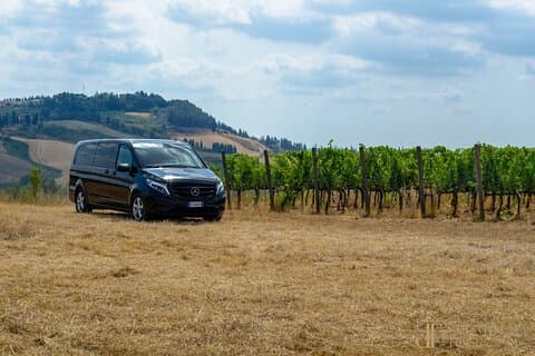 Bocelli Essence of Wine and Volterra Tour from Rome
