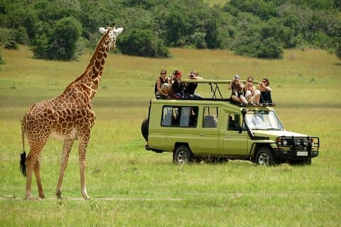 4 dagars Masai Mara och Lake Nakuru Camping Safari på 4x4 Jeep