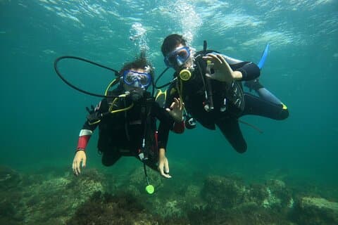 「海の洗礼: エルバ島でスキューバダイビング」