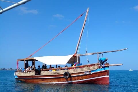 Wasini Dolphin Spotting Tour
