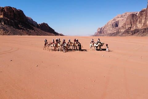 Tour privato in jeep di un'intera giornata nel Wadi Rum