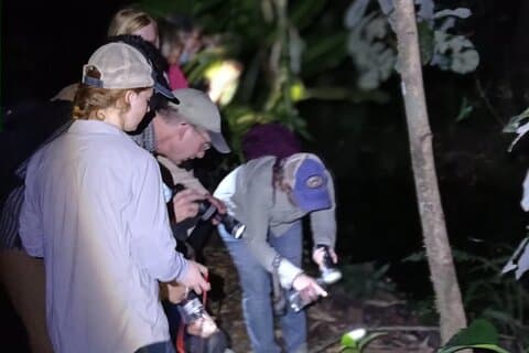 Esclusiva passeggiata notturna a La Fortuna e al giardino delle rane naturali.