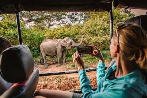 Dagtocht door Sigiriya Dambulla en jeepsafari vanuit Kandy