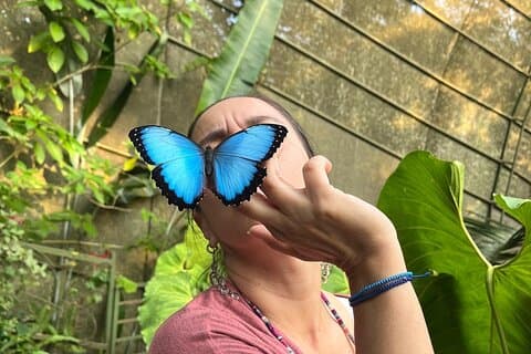 Eintritt ins Andoke Butterfly Center in Cali mit Release Ritual