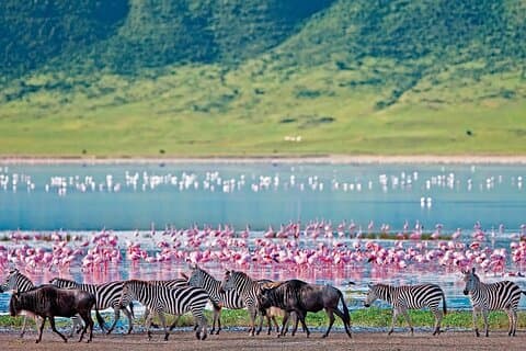 2-tägige Hell's Gate, Crescent Island und Nakuru – private Safari