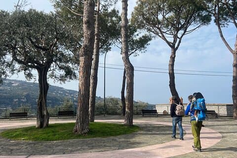 Tour van 2 uur: van de heuvels naar de zee van Sorrento