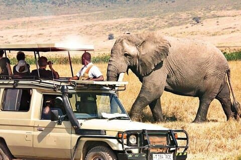 3 Tage Samburu National Park private Safari all inclusive