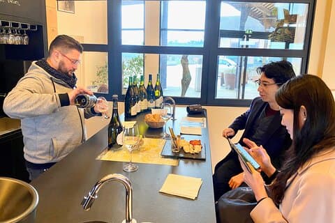 Excursión para grupos pequeños a Château Pommard y Chablis con degustación de vinos exquisitos
